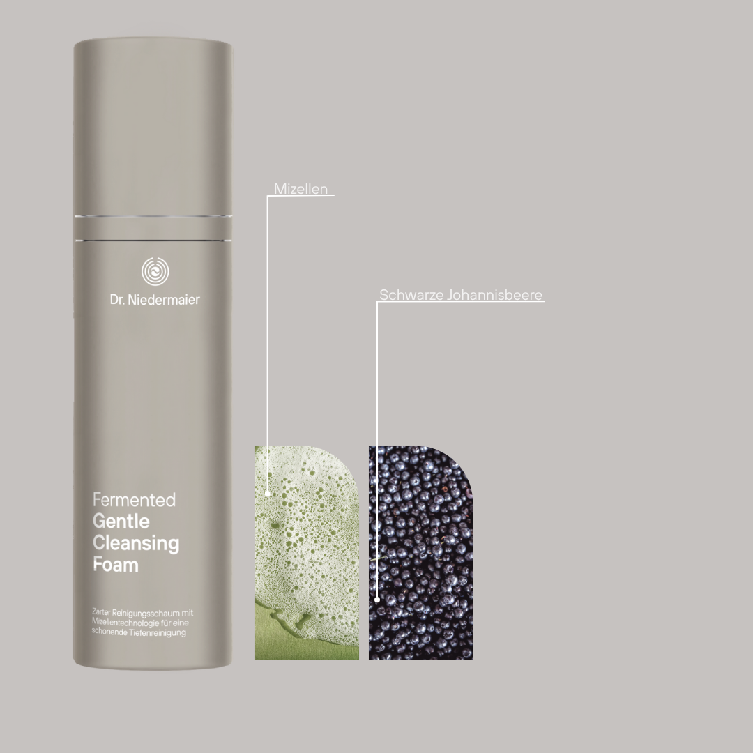 Fermented Gentle Cleansing Foam