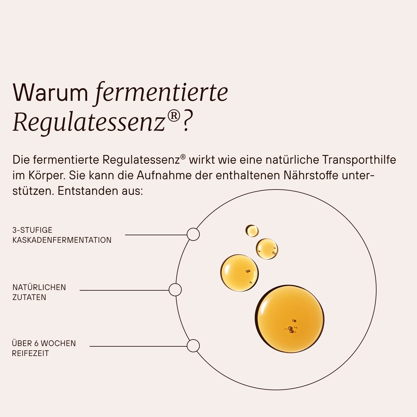 Rechtsregulat® Organic